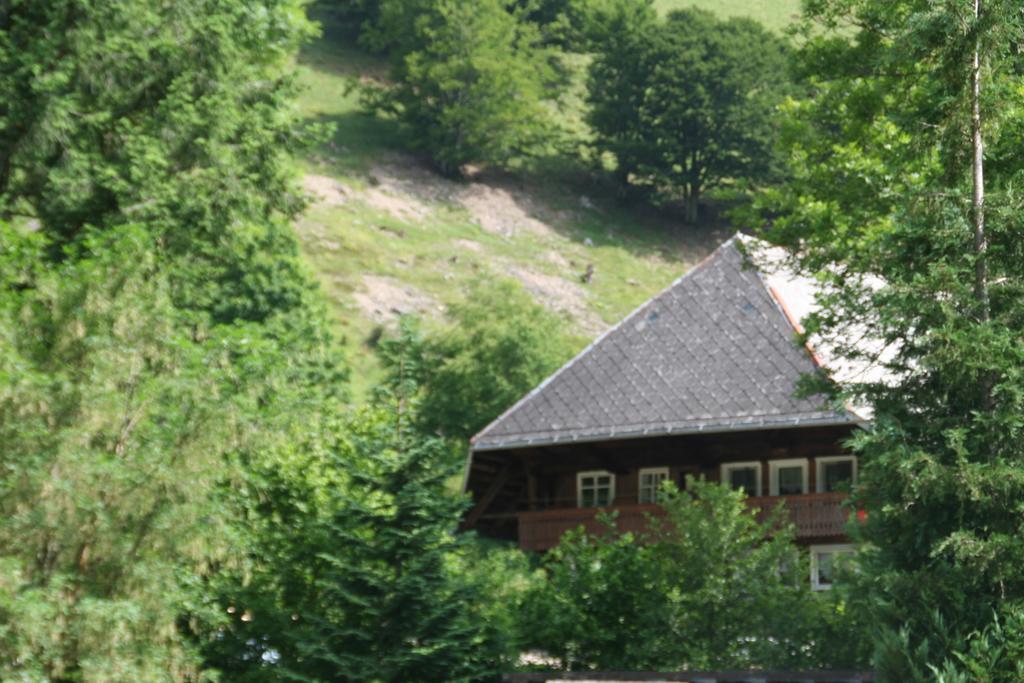 Hotel Gasthaus Hirschen Im Hochschwarzwald Todtnau Nahe Feldberg Ngoại thất bức ảnh
