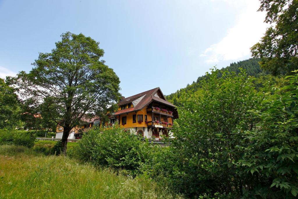 Hotel Gasthaus Hirschen Im Hochschwarzwald Todtnau Nahe Feldberg Ngoại thất bức ảnh